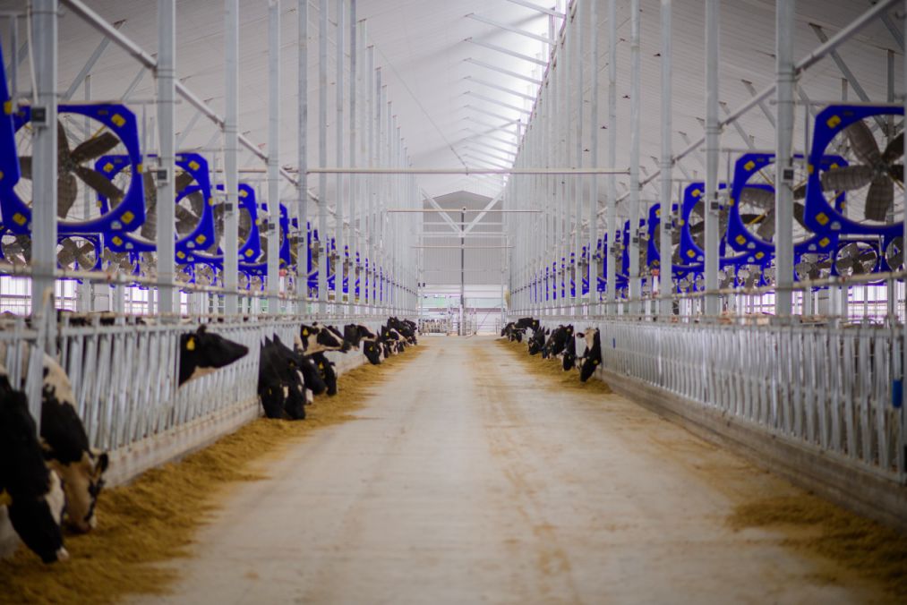 現(xiàn)代牧業(yè)（烏拉特前旗）有限公司新建牧場(chǎng)項(xiàng)目